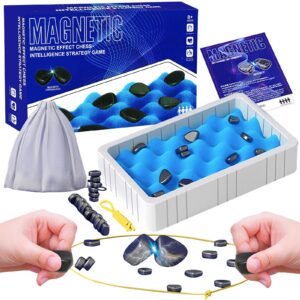 2in1 Magnetic Effect Chess Stone Family Board Game